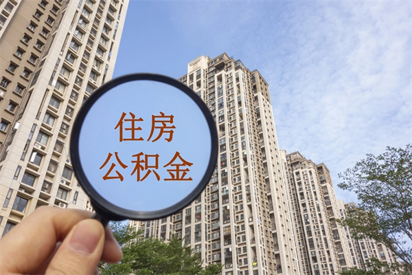 淇县离职后公司不给转公积金怎么办（离职后公司不给转社保怎么办）